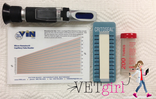 PCV/TS VETgirl