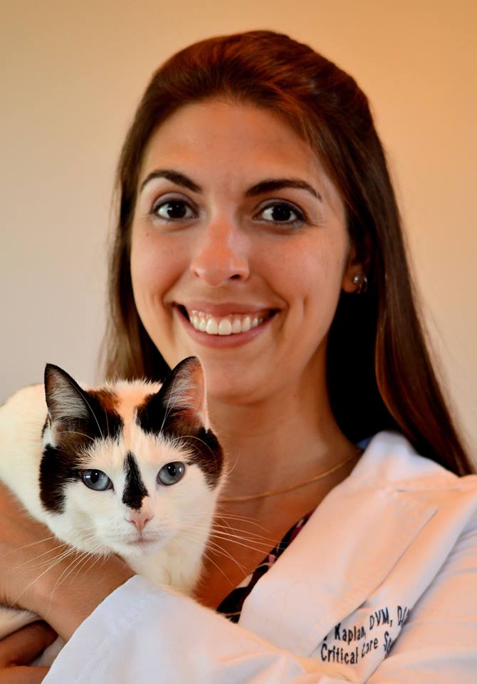 Amy Kaplan DACVECC