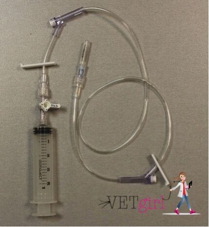 VETgirl thoracocentesis set up