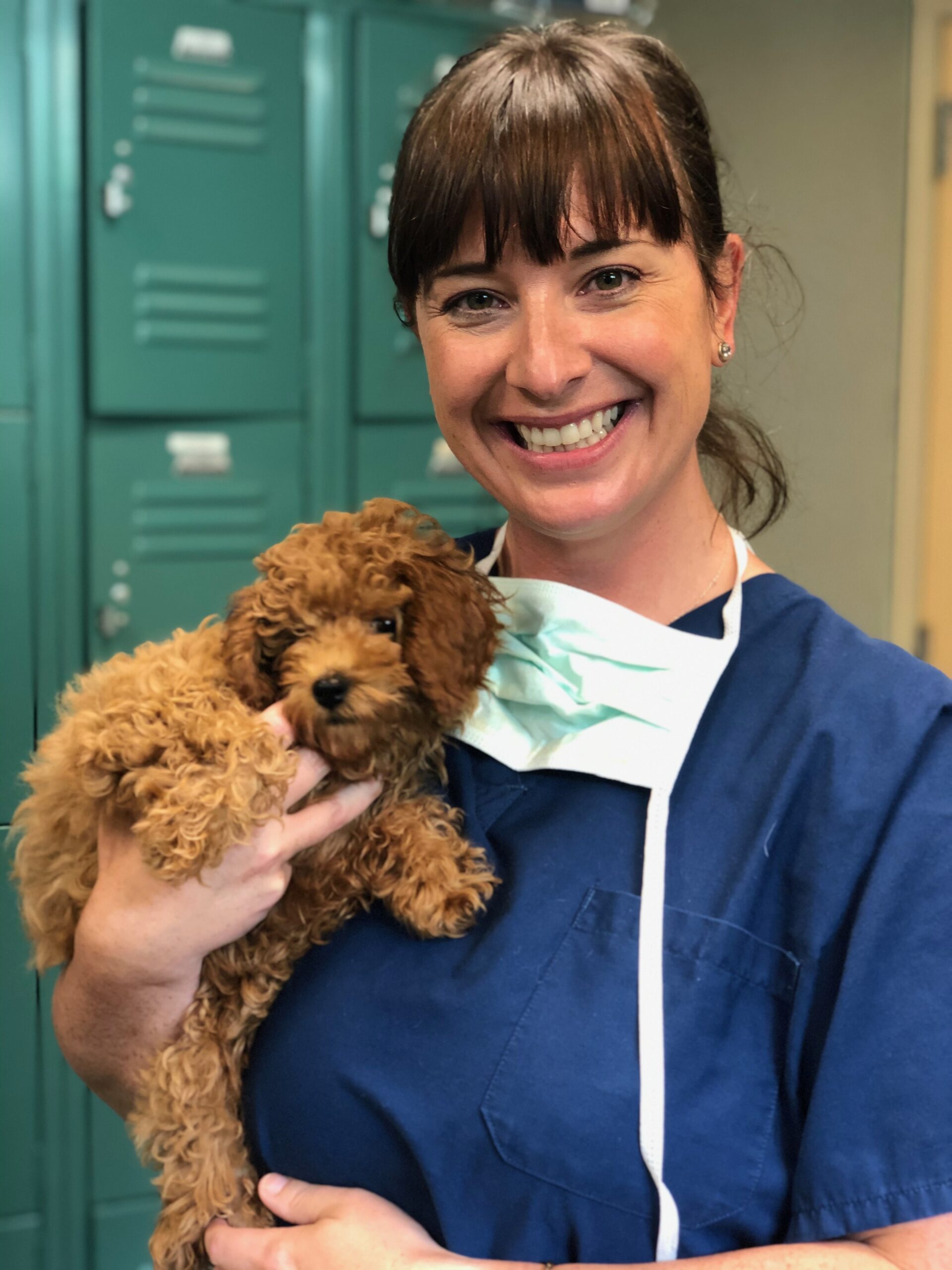 Dr Shelby Reinstein, DVM, MS, DACVO