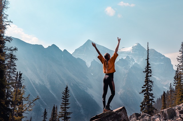 In today’s VETgirl online veterinary continuing education blog, VETgirl’s Chief Happiness Officer, Jeannine Moga, reviews wellness, self care and environmental wellness with our Chief Happiness Officer, Jeannine Moga, LSW.
