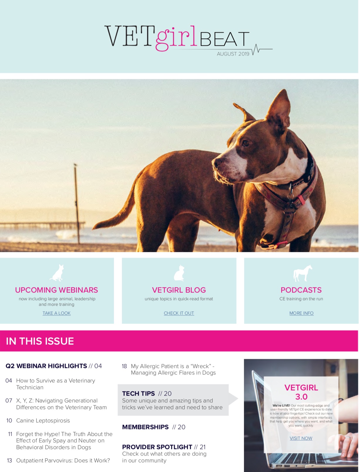 Read our VETgirl e-newsletter 