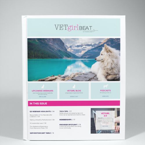 October: VETgirl Beat