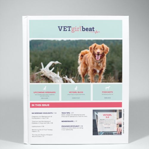 December: VETgirl Beat