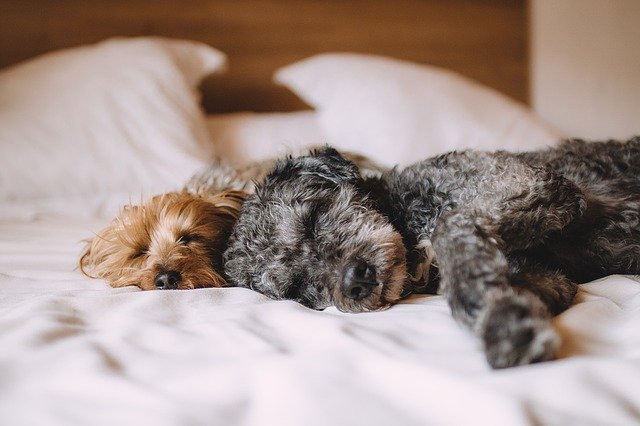 Why you need more sleep in your life!