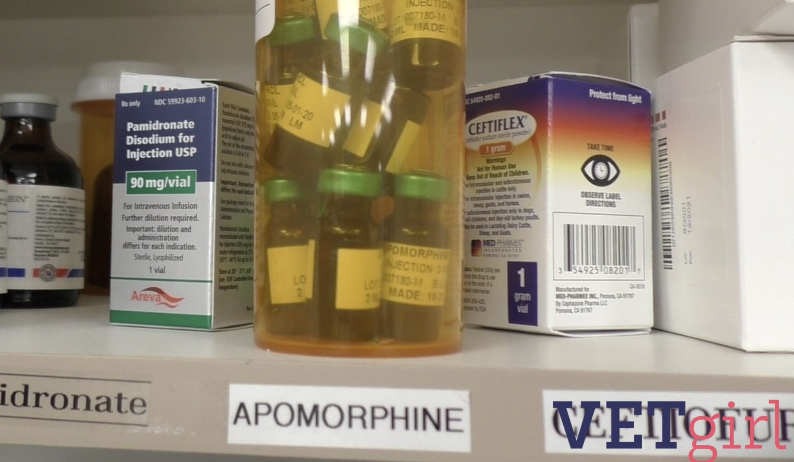 VETgirl image of apomorphine