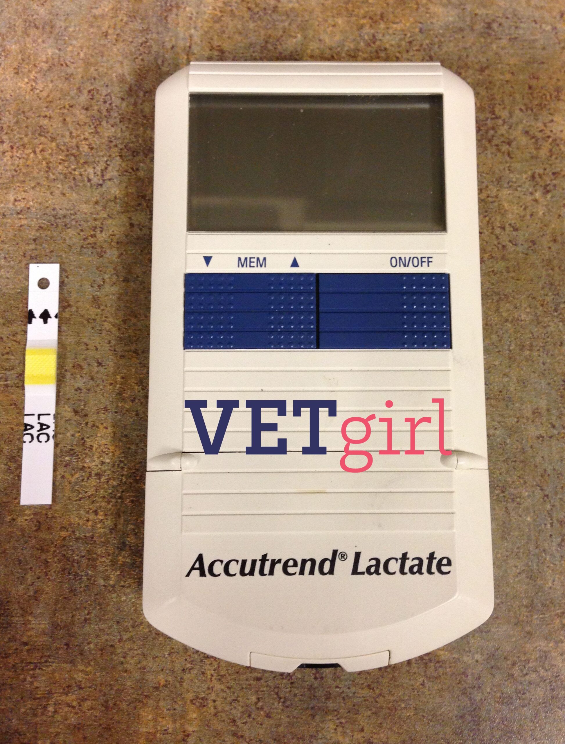 Lactate in dogs and cats for monitoring
