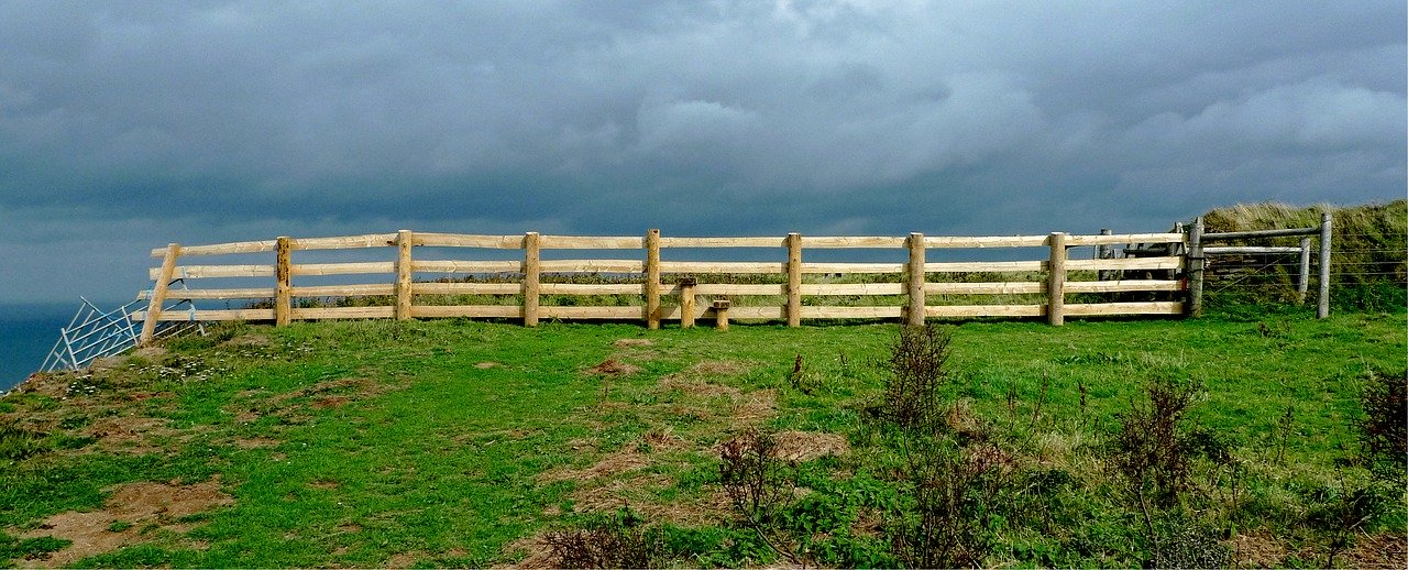 How to set boundaries in your veterinary life and why you need them - in this VETgirl online veterinary CE blog