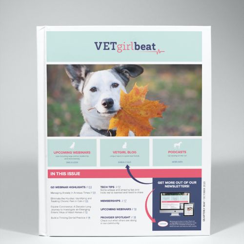 October: VETgirl beat