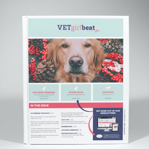 December: VETgirl beat