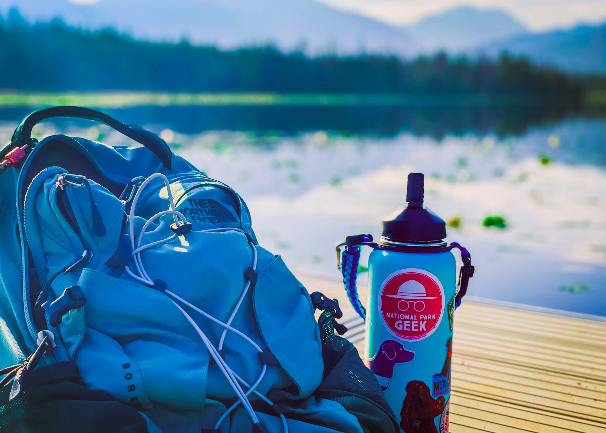 VETgirl backpack wellness scenery