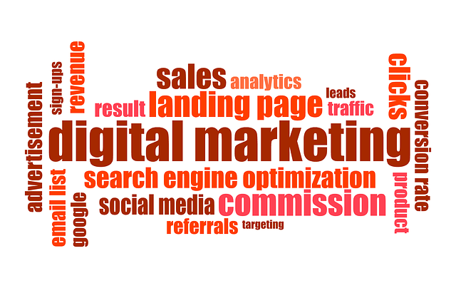 Digital marketing VETgirl blog