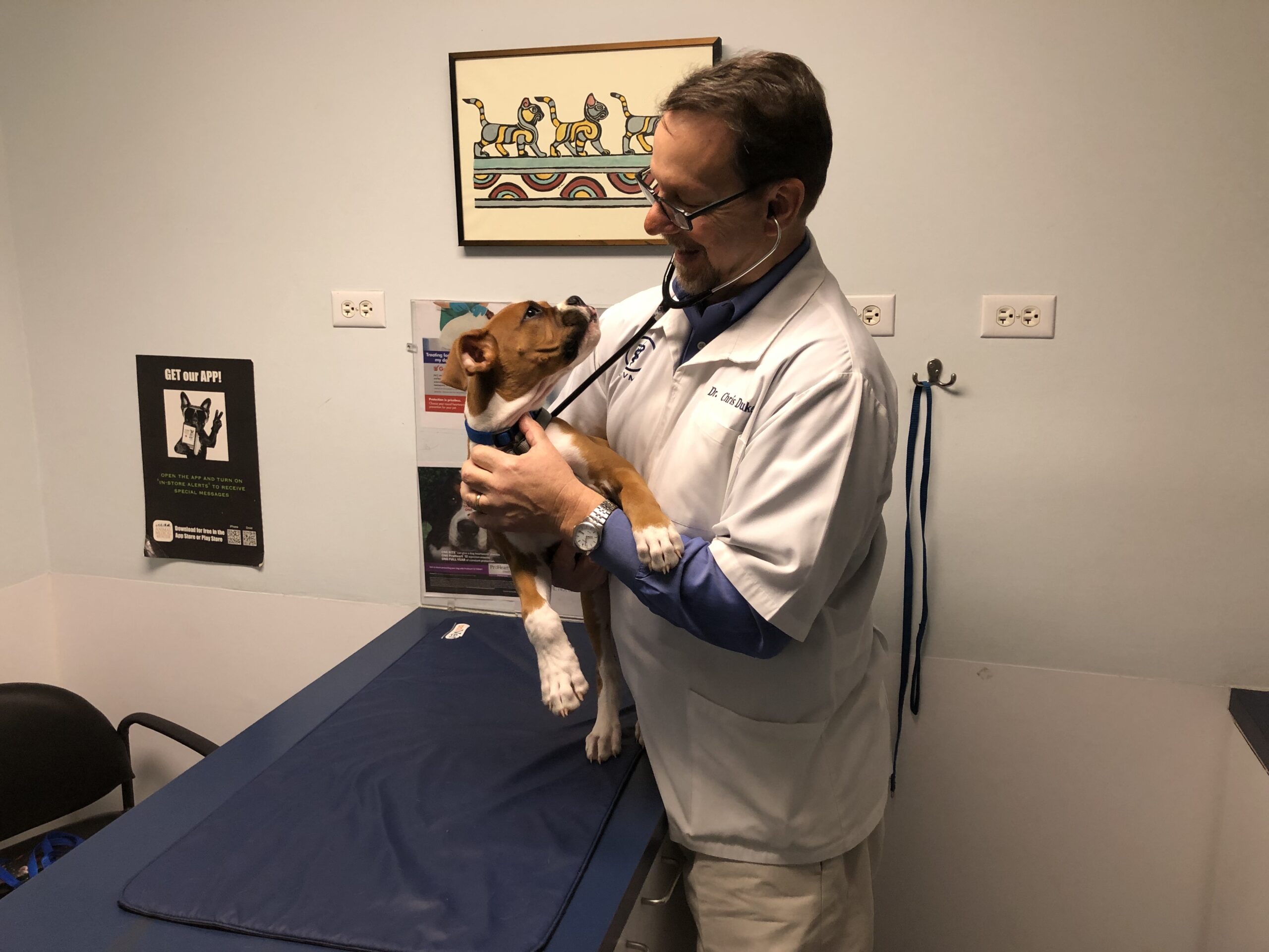 Chris Duke veterinary picture holding puppy AHS VETgirl blog