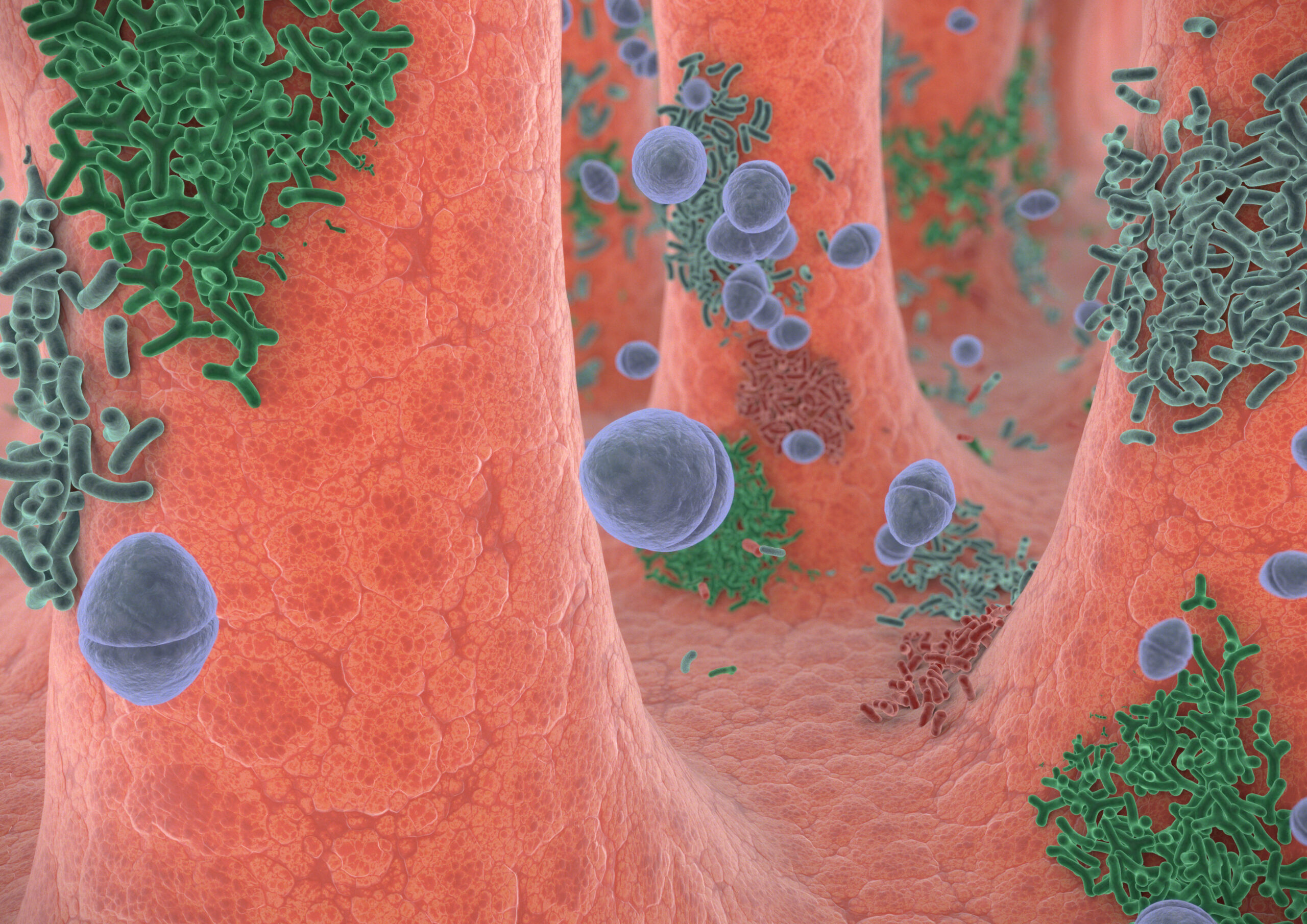 Purina Microbiome gastrointestinal image