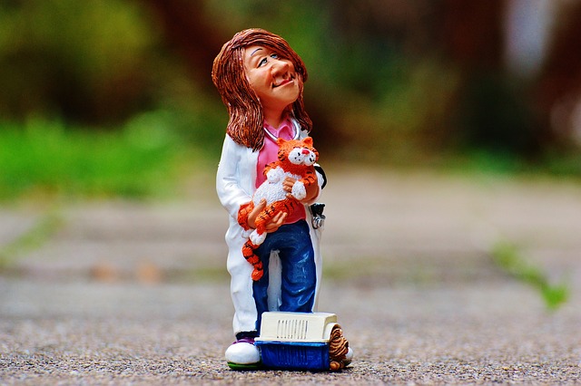 veterinarian figurine