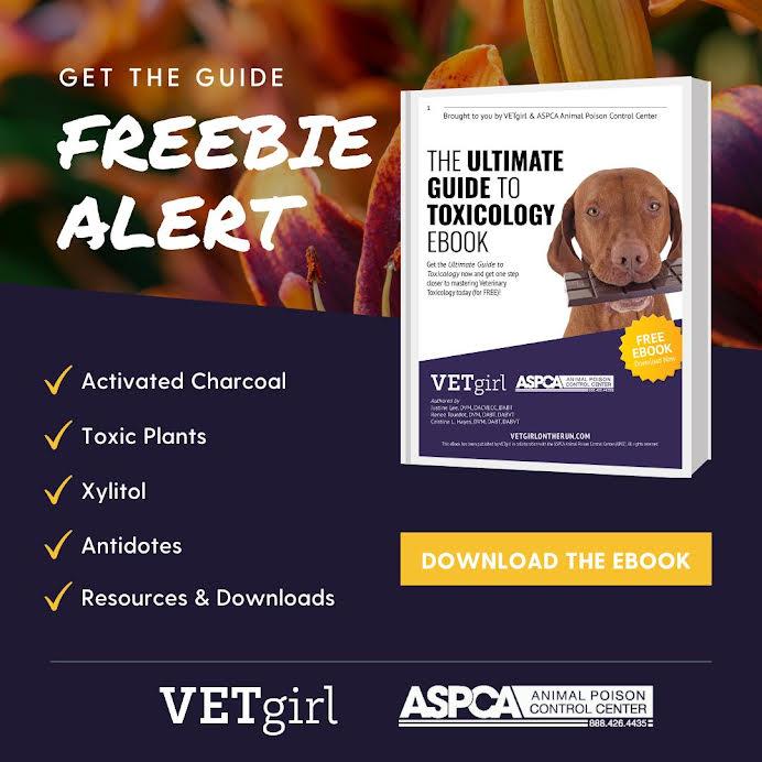 VETgirl Ultimate Toxicology Ebook