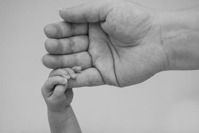 Parent holding hand of child
