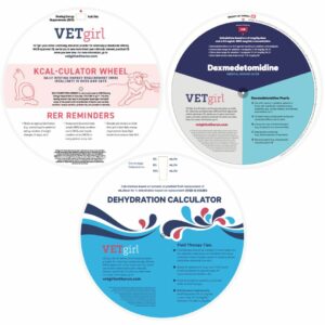 VETgirl 3 Wheel Trifecta