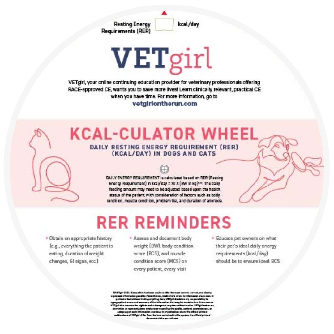 K-CALculator Wheel - Image 2