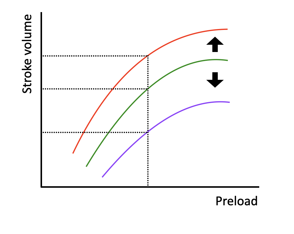 Frank Starling Curve VETgirl blog Chris Kennedy