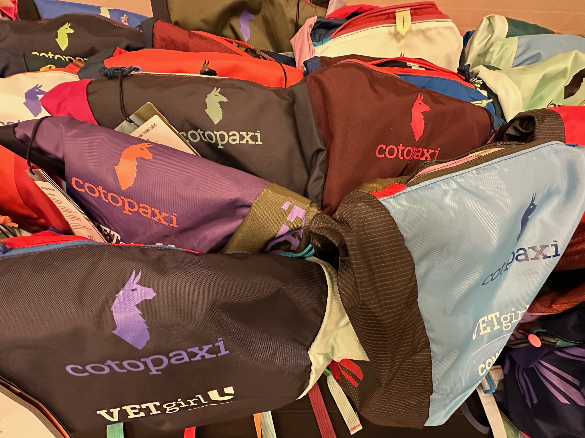 VETgirl U 2024 Conference Backpack - Cotopaxi - Image 3