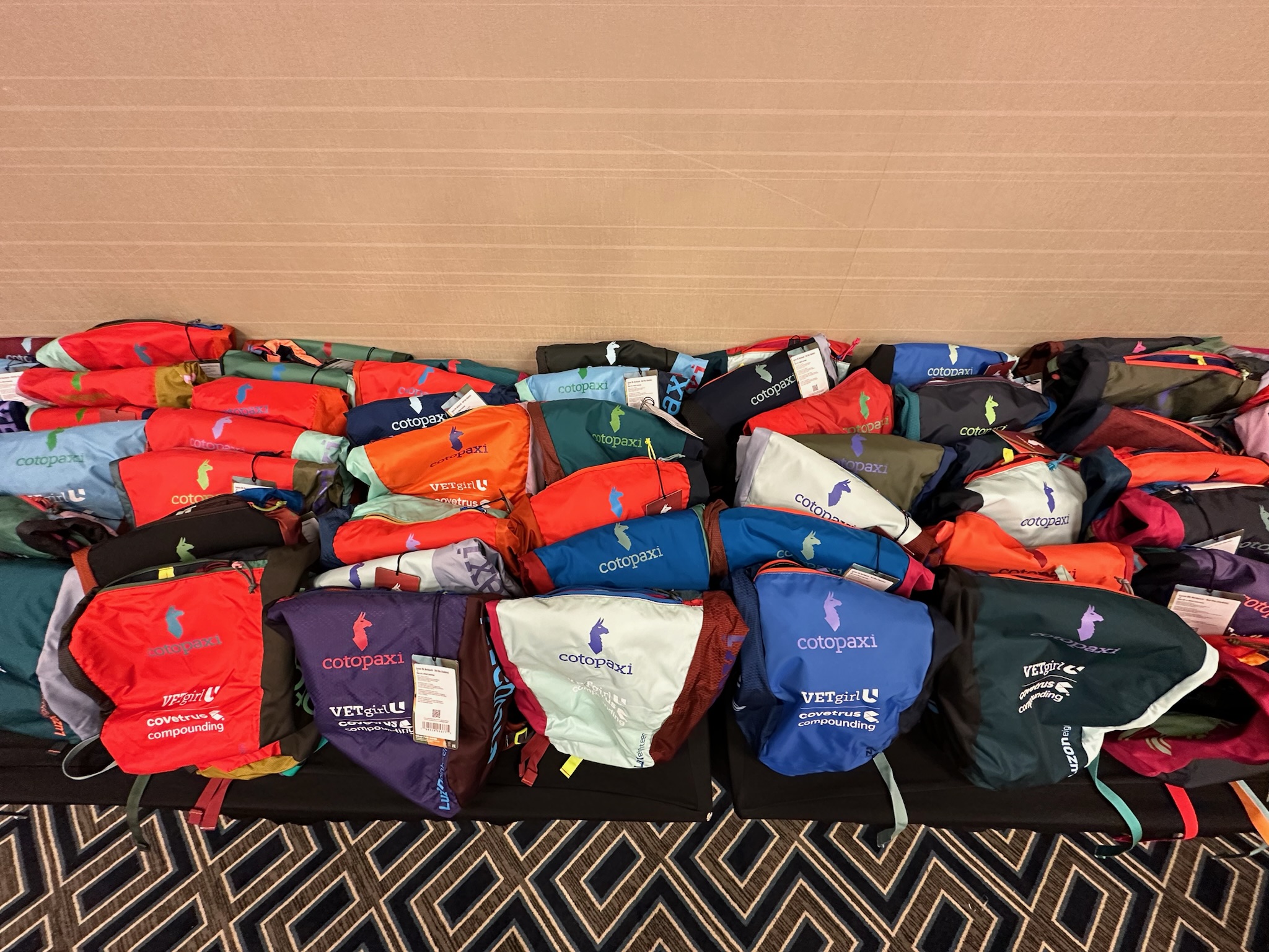 VETgirl U 2024 Conference Backpack - Cotopaxi - Image 2