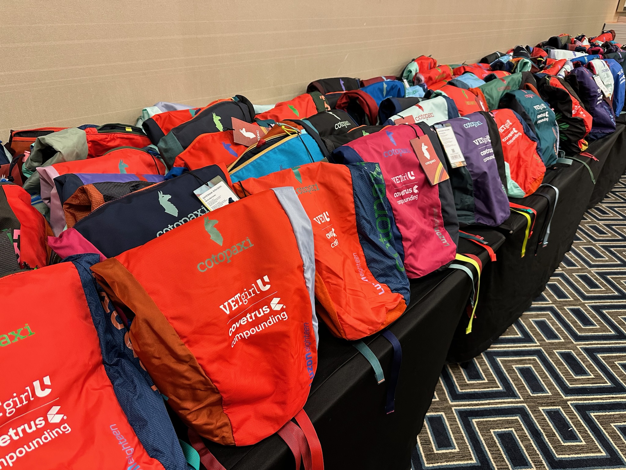 VETgirl U 2024 Conference Backpack - Cotopaxi - Image 4