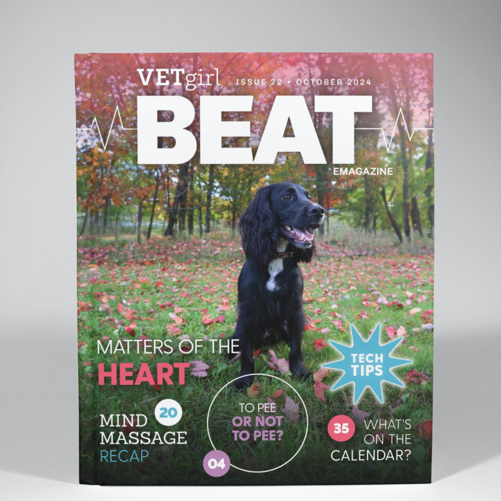 October: VETgirl Beat