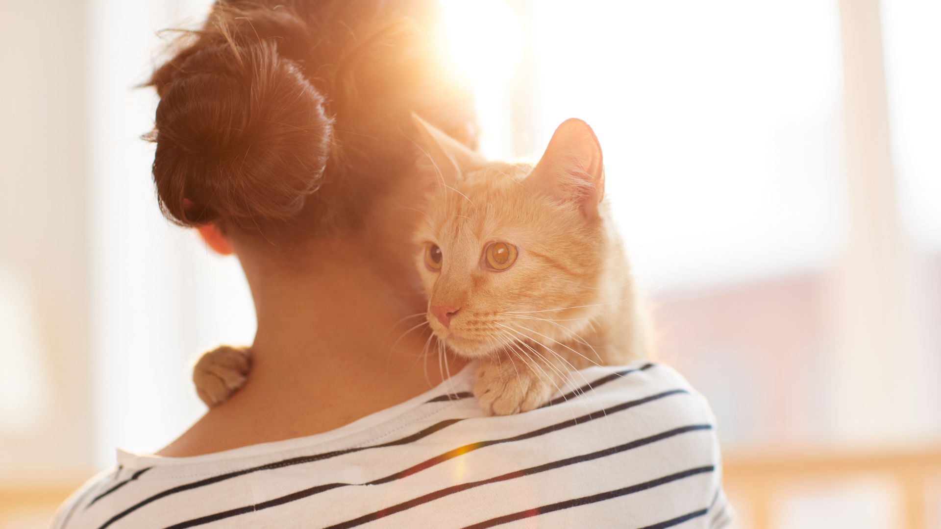 September 7, 2025: Mast Cell Disease in Cats