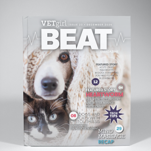 December: VETgirl Beat
