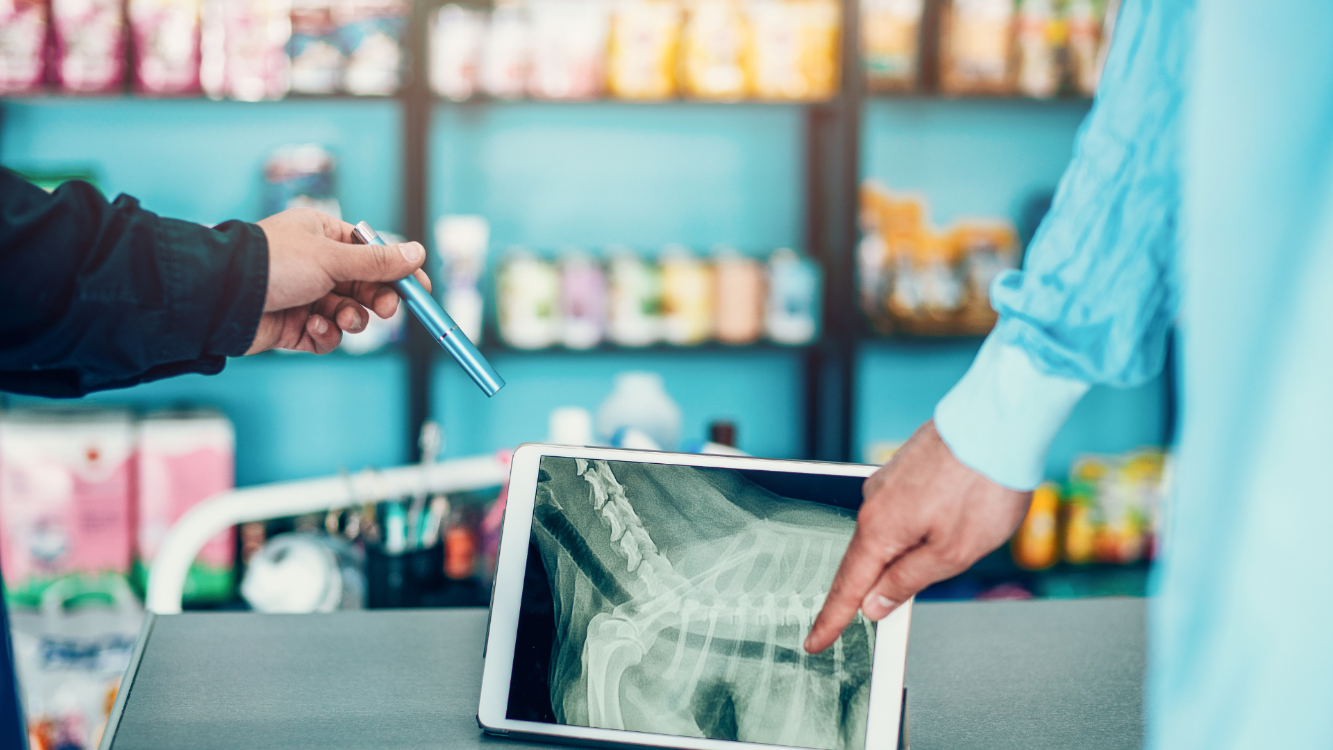 August 6, 2025: It’s All About the Pattern: Identifying K9 Radiographic Pulmonary Patterns
