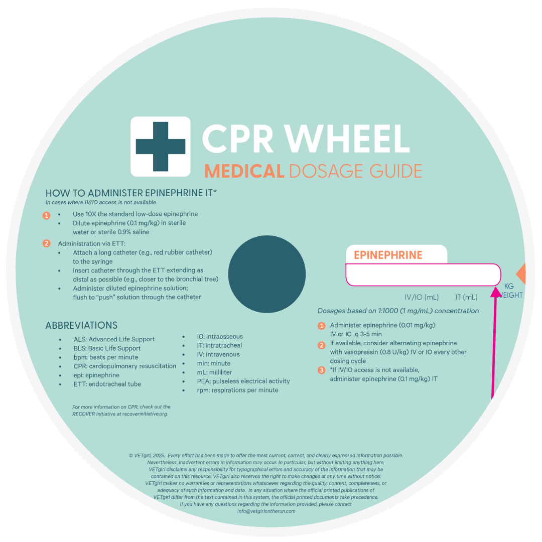 CPR Wheel 2.0 (2025 Edition) - Image 3
