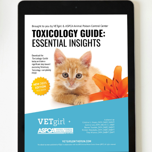 Toxicology Guide: Essential Insights eBook