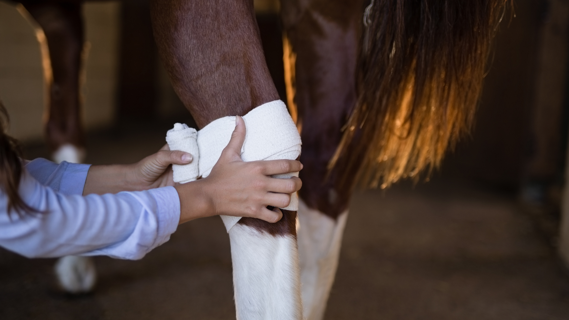 July 2, 2025: Topical Therapies for Wound Healing