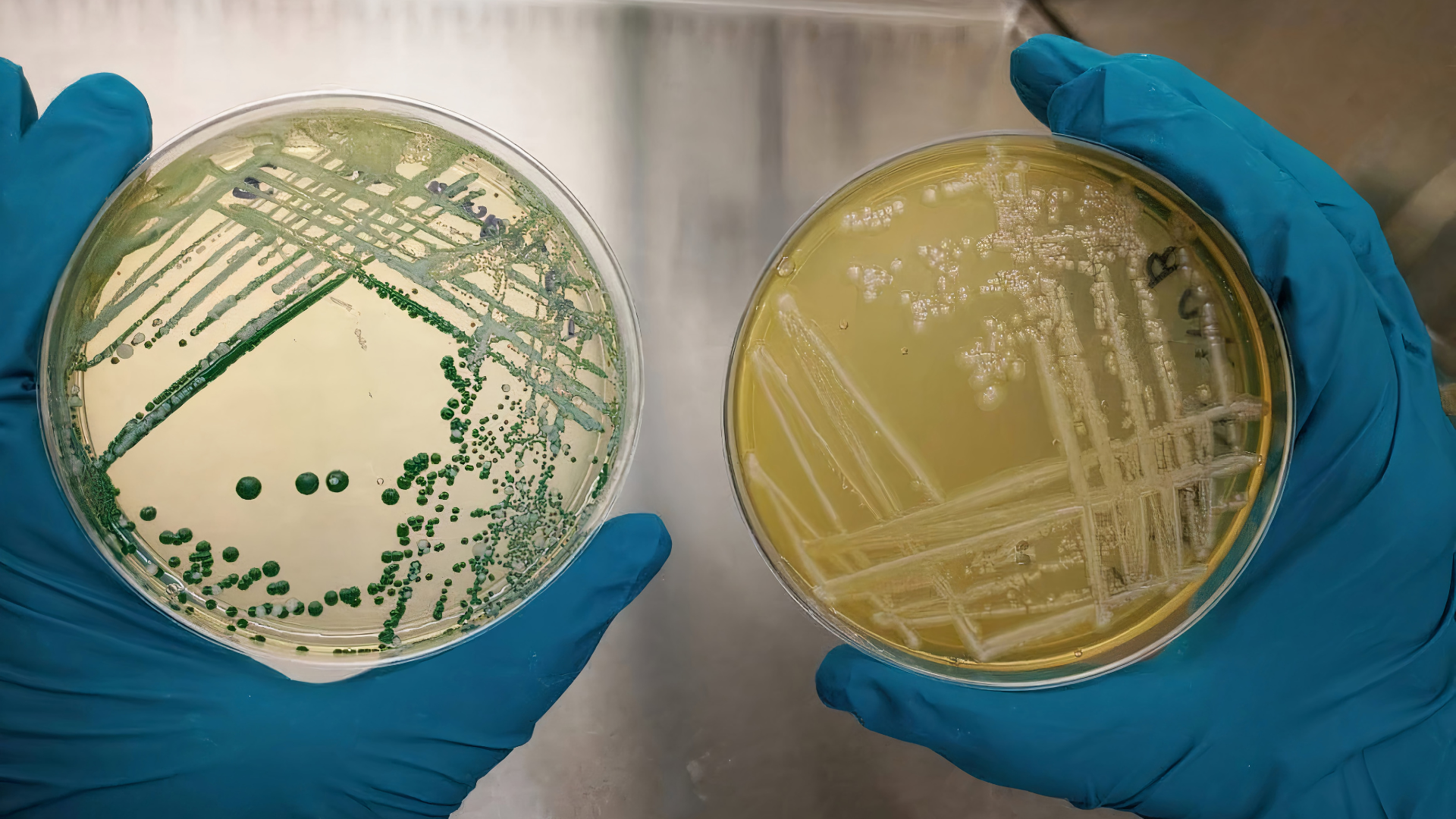 November 8, 2026: Susceptible, Intermediate, Resistant… Now What?: What the MIC Really Means